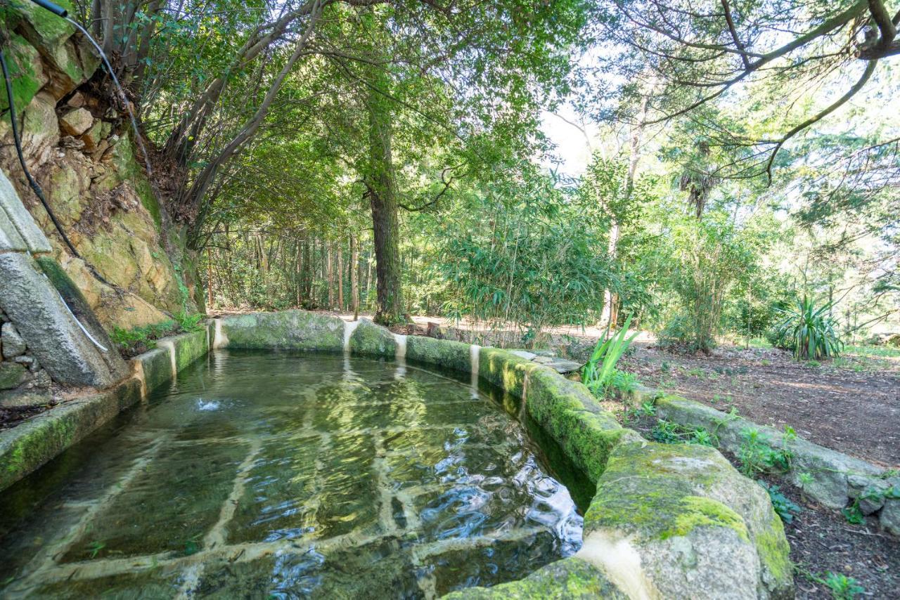 Quinta Das Lamas - Oak Tree House Vouzela Exterior photo